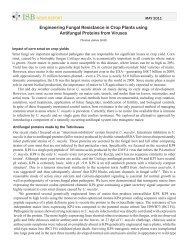 Engineering Fungal Resistance in Crop Plants using Antifungal ...