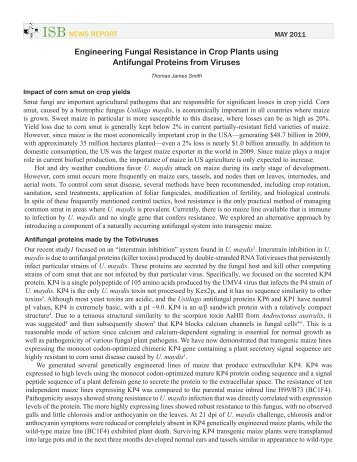 Engineering Fungal Resistance in Crop Plants using Antifungal ...