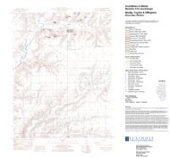 Beecher City Quadrangle Map and Directory - Illinois State ...