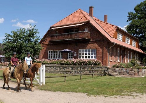 Urlaub, Pferde, Reiten ... ... Islandpferde erleben