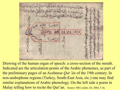 Watermarks - Islamic manuscripts