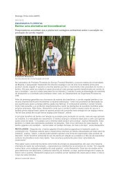 Bambu: uma alternativa em biocombustível - Isomax - Terrasol
