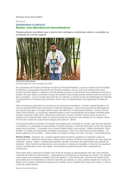 Bambu: uma alternativa em biocombustível - Isomax - Terrasol
