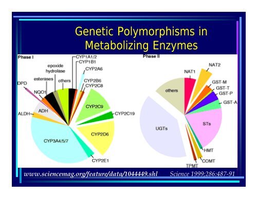 Therapeutic Drug Monitoring in Oncology: The key to individualised ...