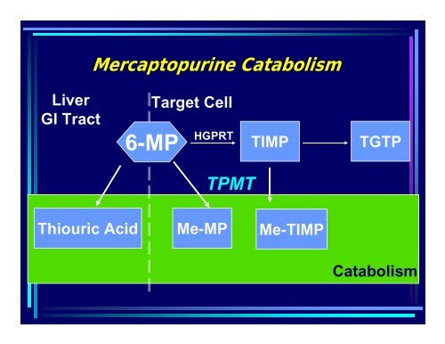 Therapeutic Drug Monitoring in Oncology: The key to individualised ...