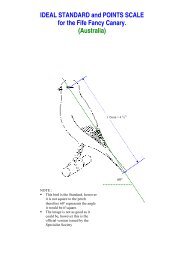 IDEAL STANDARD and POINTS SCALE for the Fife Fancy Canary.