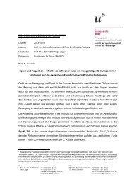 Sport und Kognition (SpuK) (pdf, 146KB) - Institut für ...