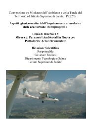 Relazione finale_10_02_08.pdf - INFN Gruppo Collegato SanitÃ 