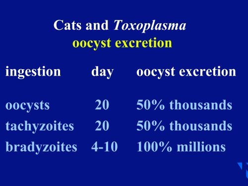 Risk of toxoplasmosis related to foodstuff
