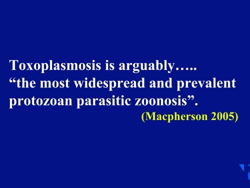 Risk of toxoplasmosis related to foodstuff