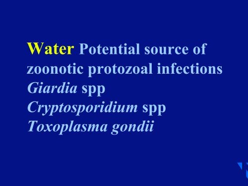 Risk of toxoplasmosis related to foodstuff