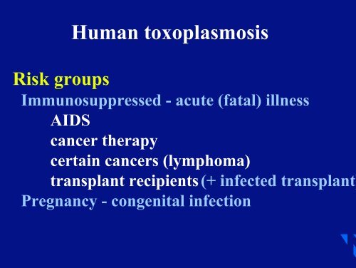 Risk of toxoplasmosis related to foodstuff