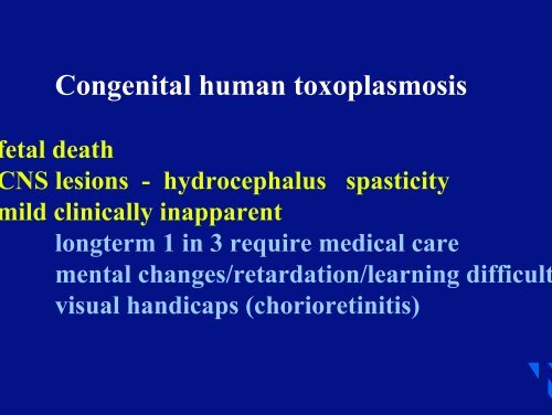 Risk of toxoplasmosis related to foodstuff