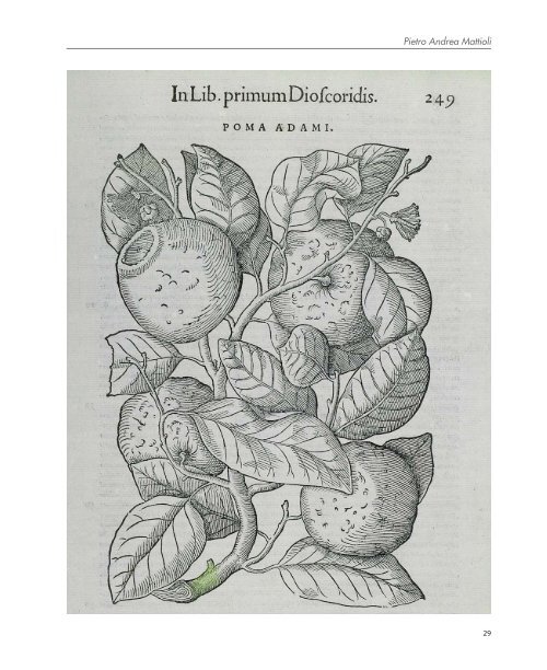 Immagini Botaniche dalla raccolta del Fondo Rari della Biblioteca ...