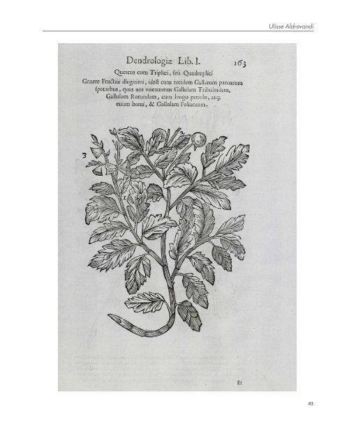 Immagini Botaniche dalla raccolta del Fondo Rari della Biblioteca ...