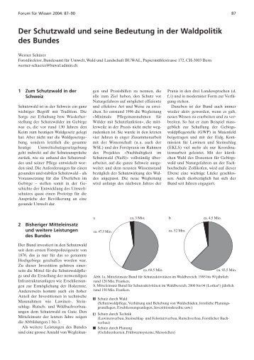 Der Schutzwald und seine Bedeutung in der Waldpolitik des ... - WSL