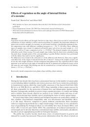 Effects of vegetation on the angle of internal friction of a moraine - WSL