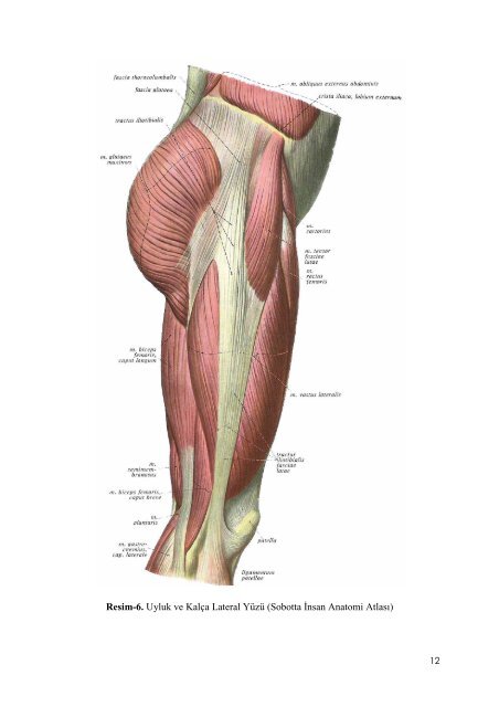 instabil intertrokanterik femur kÄ±rÄ±klarÄ±nda proksimal femoral Ã§ivi ...