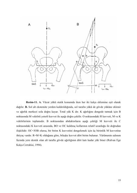 instabil intertrokanterik femur kÄ±rÄ±klarÄ±nda proksimal femoral Ã§ivi ...