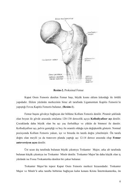 instabil intertrokanterik femur kÄ±rÄ±klarÄ±nda proksimal femoral Ã§ivi ...