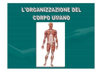 organizzazione del corpo umano - Istituto Sant'Anna