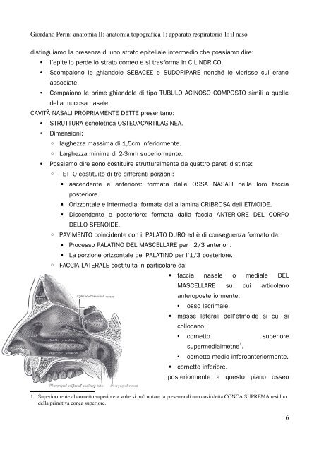 APPUNTI DI ANATOMIA II - Istituto Comprensivo "G. Palatucci"