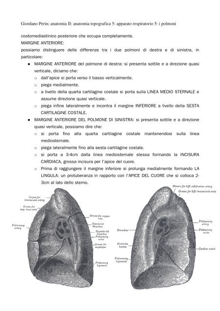 APPUNTI DI ANATOMIA II - Istituto Comprensivo "G. Palatucci"