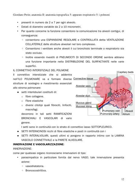 APPUNTI DI ANATOMIA II - Istituto Comprensivo "G. Palatucci"