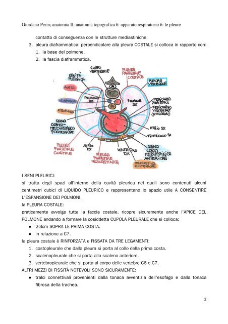 APPUNTI DI ANATOMIA II - Istituto Comprensivo "G. Palatucci"