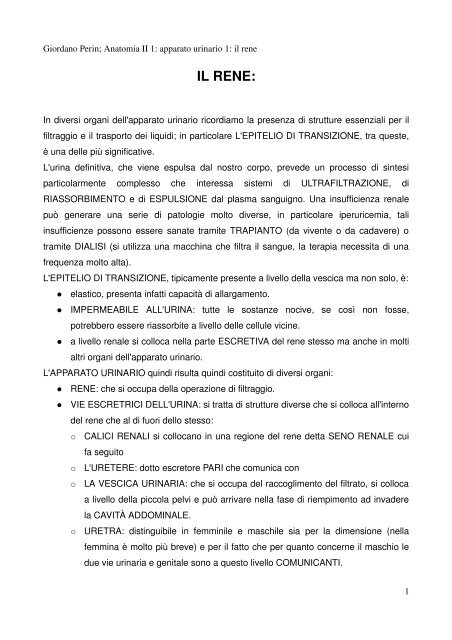 APPUNTI DI ANATOMIA II - Istituto Comprensivo "G. Palatucci"