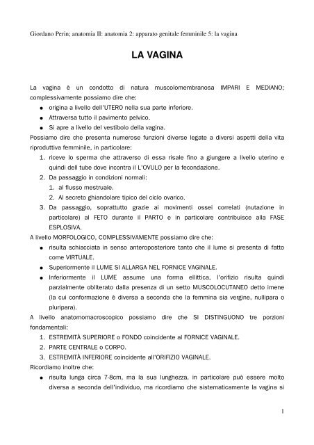 APPUNTI DI ANATOMIA II - Istituto Comprensivo "G. Palatucci"