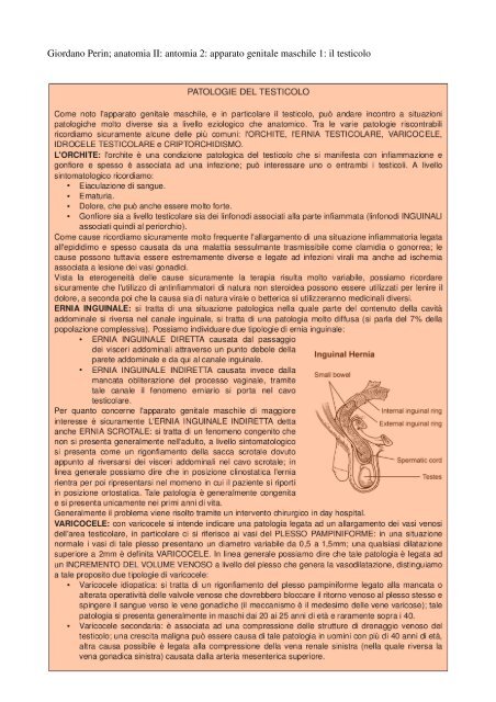 APPUNTI DI ANATOMIA II - Istituto Comprensivo "G. Palatucci"