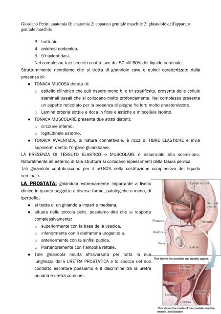 APPUNTI DI ANATOMIA II - Istituto Comprensivo "G. Palatucci"