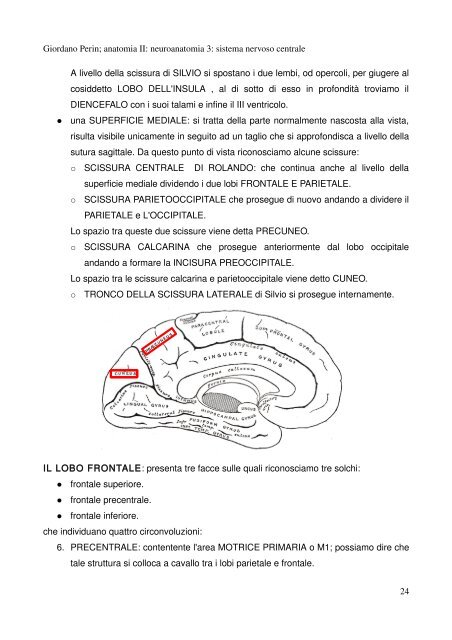 APPUNTI DI ANATOMIA II - Istituto Comprensivo "G. Palatucci"