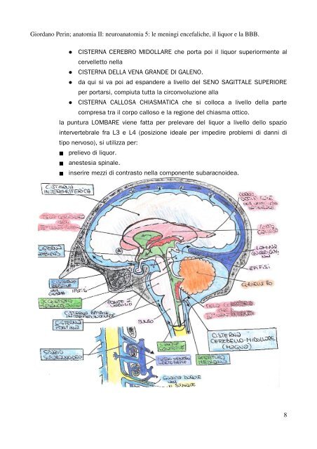 APPUNTI DI ANATOMIA II - Istituto Comprensivo "G. Palatucci"