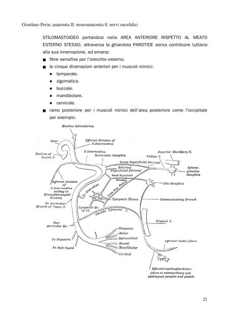 APPUNTI DI ANATOMIA II - Istituto Comprensivo "G. Palatucci"