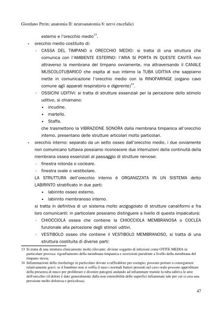 APPUNTI DI ANATOMIA II - Istituto Comprensivo "G. Palatucci"