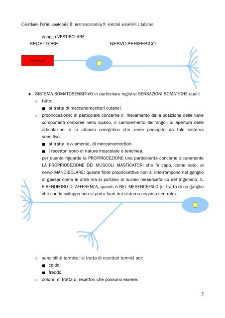 APPUNTI DI ANATOMIA II - Istituto Comprensivo "G. Palatucci"