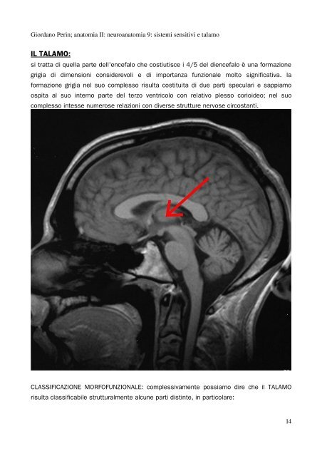 APPUNTI DI ANATOMIA II - Istituto Comprensivo "G. Palatucci"