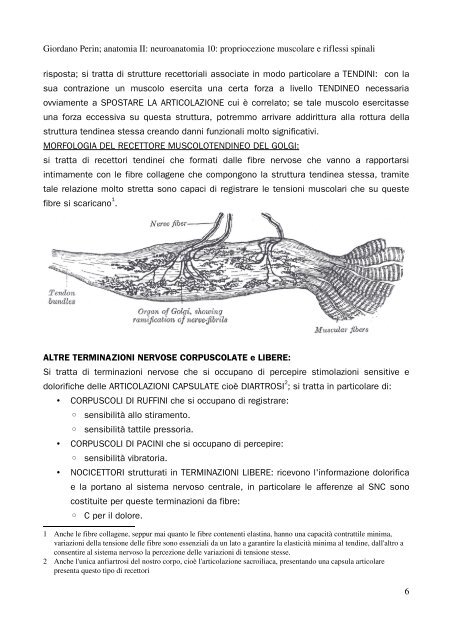 APPUNTI DI ANATOMIA II - Istituto Comprensivo "G. Palatucci"