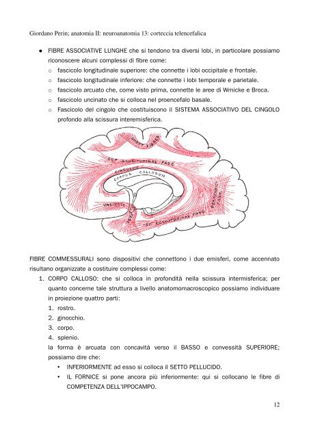 APPUNTI DI ANATOMIA II - Istituto Comprensivo "G. Palatucci"