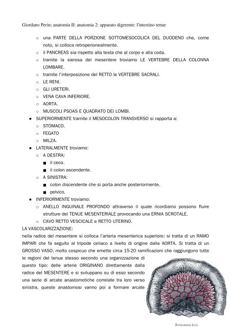 APPUNTI DI ANATOMIA II - Istituto Comprensivo "G. Palatucci"