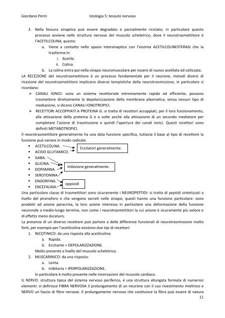 APPUNTI DI ISTOLOGIA aa 2007/2008 Giordano Perin - Istituto ...