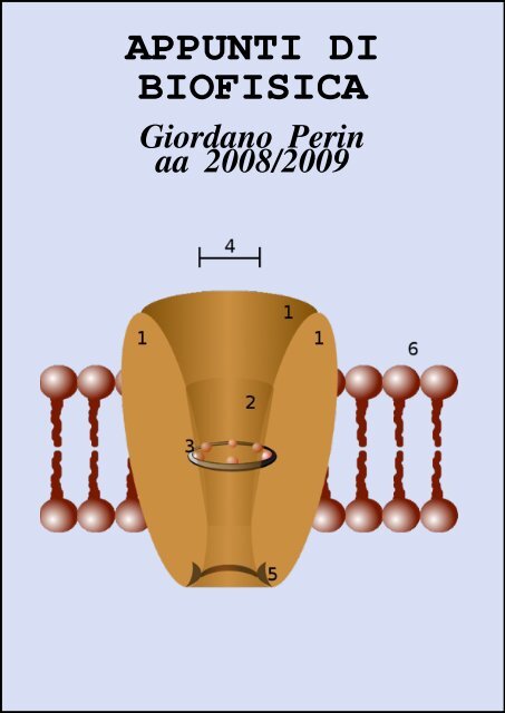 scarica corollaria definizione