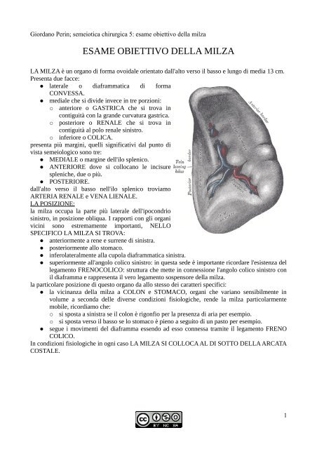 APPUNTI DI SEMEIOTICA - Istituto Comprensivo "G. Palatucci"