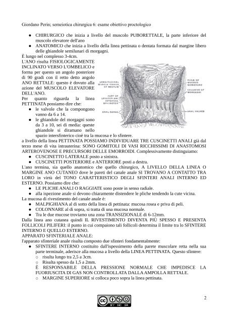 APPUNTI DI SEMEIOTICA - Istituto Comprensivo "G. Palatucci"