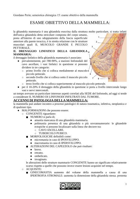 APPUNTI DI SEMEIOTICA - Istituto Comprensivo "G. Palatucci"