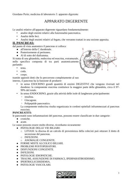 APPUNTI DI SEMEIOTICA - Istituto Comprensivo "G. Palatucci"