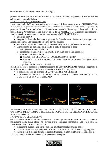 APPUNTI DI SEMEIOTICA - Istituto Comprensivo "G. Palatucci"