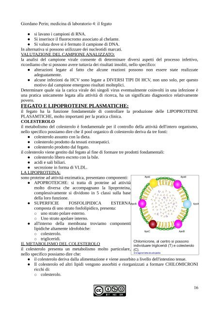 APPUNTI DI SEMEIOTICA - Istituto Comprensivo "G. Palatucci"